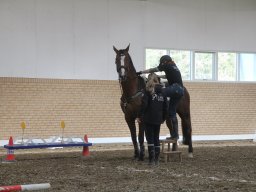 img_6028_web